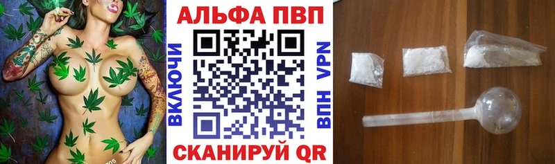 A PVP СК КРИС  Урюпинск 